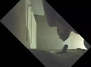 putita cachonda plays with my big cock 😈