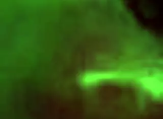 Oral-Stimulation For Reality Porn Contest