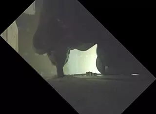 putita cachonda plays with my big cock 😈