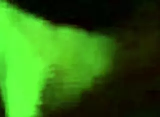 hot babe sucking cock in intense blowjob session