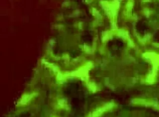 Me Follan A Cuatro Mi Postura Favorita!