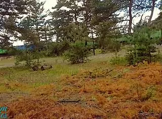 in the outdoor public spot, the russian amateur begged for a creampie while getting caught in her wet panties