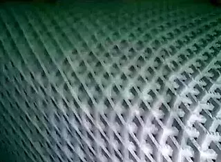 Wife Enjoys Intimate Moments With Husband