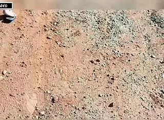 I Saw A Hot Girl And Licked Her Pussy