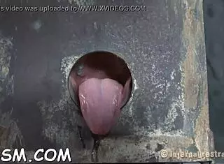 Sweetheart gets clamped with anal toy