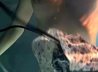 i'm watchin' dem big bouncin' tits underwater