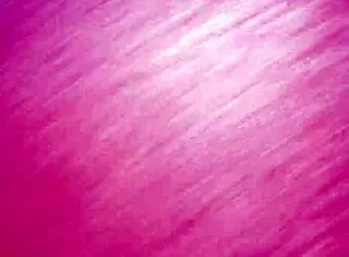 Discover the allure of a voluptuous figure with enticing features