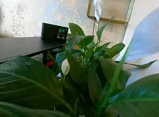 mr williams daydream fantasies scene 1 part 1