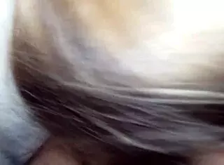 keisha sucks on monster cock in intense blowjob scene