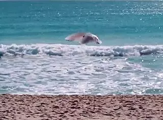 Hitzefrei German Ashley Dark Banged Hard on Sunny Balcony