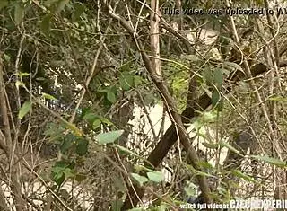 slutty teen sucks stranger's cock on public street