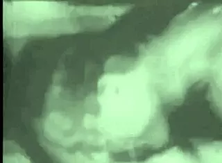 Victorian gentleman's erotic confessions reveal ancestral sins.