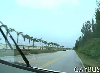 Free Homo Sex Pics: Intense Gay Action Unleashed