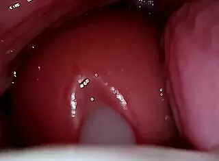 wasteland adventures with creampies in the couple