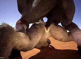 Wild furry hentai ass fucking