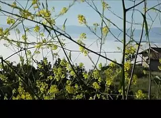 lesbian blondes in lingerie are kissing and licking each other hotly