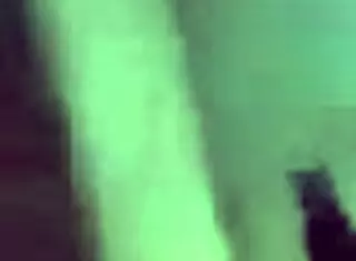 step sis wakes me with sloppy blowjob