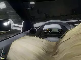 GTA 5 First Person Hooker Sex