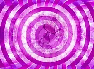 a confused sissy explores her identity