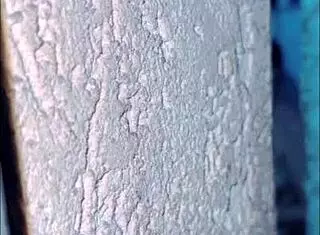 Caught My Ex and Wife Showering Together in Steamy Action