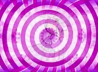 a confused sissy explores her identity