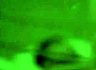 Celebrities ride in nude scenes with bare asses