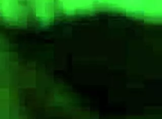 i deepthroat the neighbor in fishnets