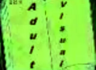 Harem Hotel 146: Hotel Adventures In The Game