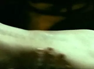 Celebrities ride in nude scenes with bare asses