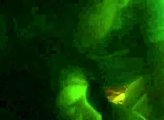 i licked her pusy and doggystyled her