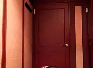 Ball Kicking Techniques Demonstrated in Sports