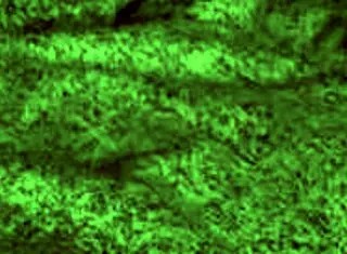 Redhot Fox In Babe Milf Sexy Encounter