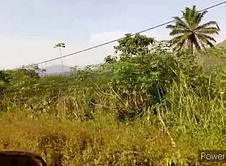 is that monster cock fucking her big ass hard in doggy?