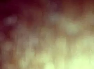 Ann Eagerly Sucks On A Massive Black Cock With Passion