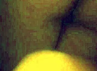 Wife Prostitute Rides Big Ass In Hentai Anime