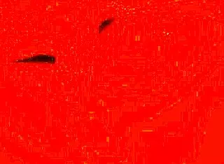 Novinha De 18 Aninhos Ninfomaníaca Sexual Se Masturbando Sem Parar E Gozando Muito Completo No Red