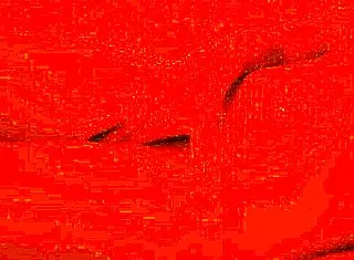 Novinha De 18 Aninhos Ninfomaníaca Sexual Se Masturbando Sem Parar E Gozando Muito Completo No Red