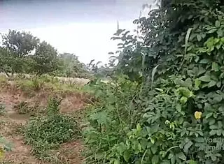 why did i fight with my boyfriend and call my stepsister's husband for anal reaffirmation