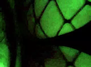 My friend fucks me again, i missed his gay touch