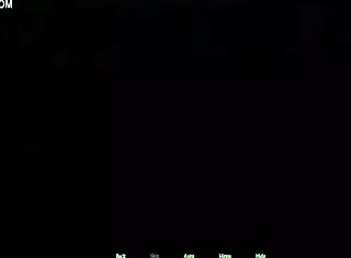 My New Family 271 Episode