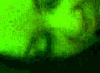 anna maria gives retro bj to hubby 😘