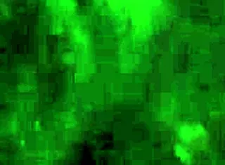 watch this bbw give sloppy blowjob to big black cock?