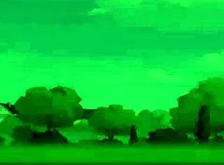 Amateur teen Bree gets railed hard and sucks cock intensely.