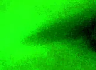 the ebony babe bends over for intense doggystyle fucking with a massive black cock