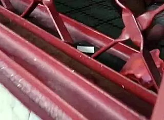 Caught my naughty wife masturbating in a wild moment!