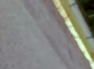 Blonde amateur shows natural tits and pussy in public market, gets blowjob and muff diving in stockroom