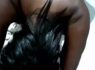 Pr�via de 2024 v�deos in�ditos