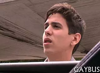 Guys Engaging in Homosexual Activity