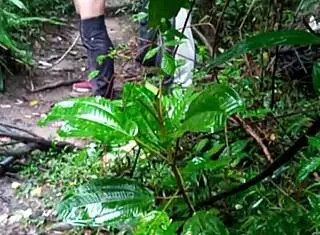 Guys orgy in forest with big cocks