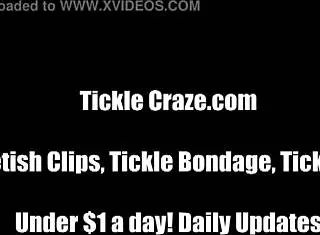 cat teaches courtney on tickling her bound friend